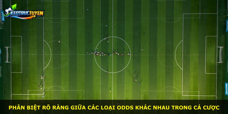 Phân biệt rõ ràng giữa các loại odds khác nhau trong cá cược