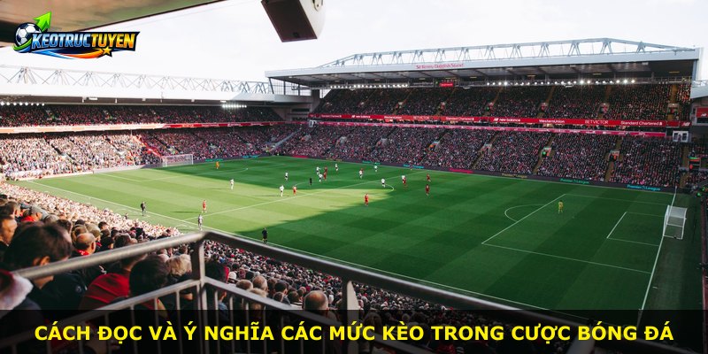 Cách đọc và ý nghĩa các mức kèo trong cược bóng đá